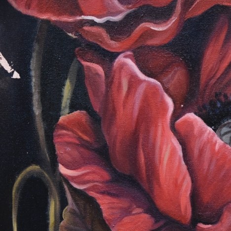 El traç de l'absència cover image